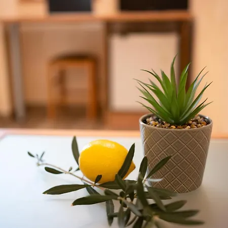 Zeus Hotel Pomorie
