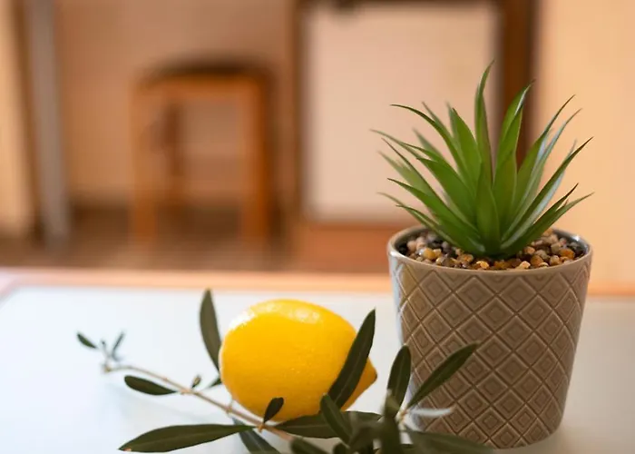 Zeus Отель Поморие